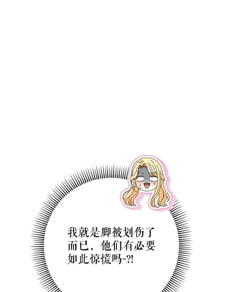 59.环岛飞行 第133页