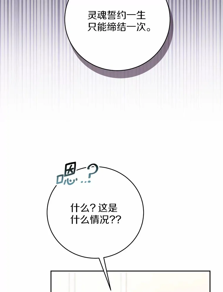 28.战争 第41页