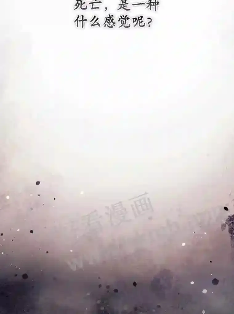 新作来袭 第5页