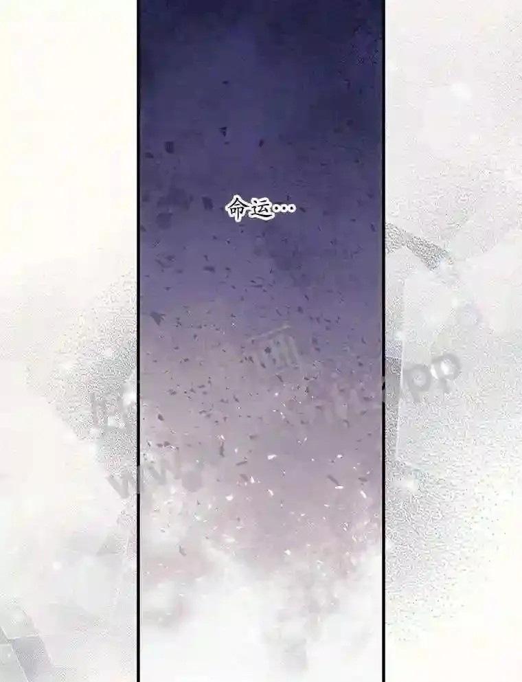 2.命运 第42页