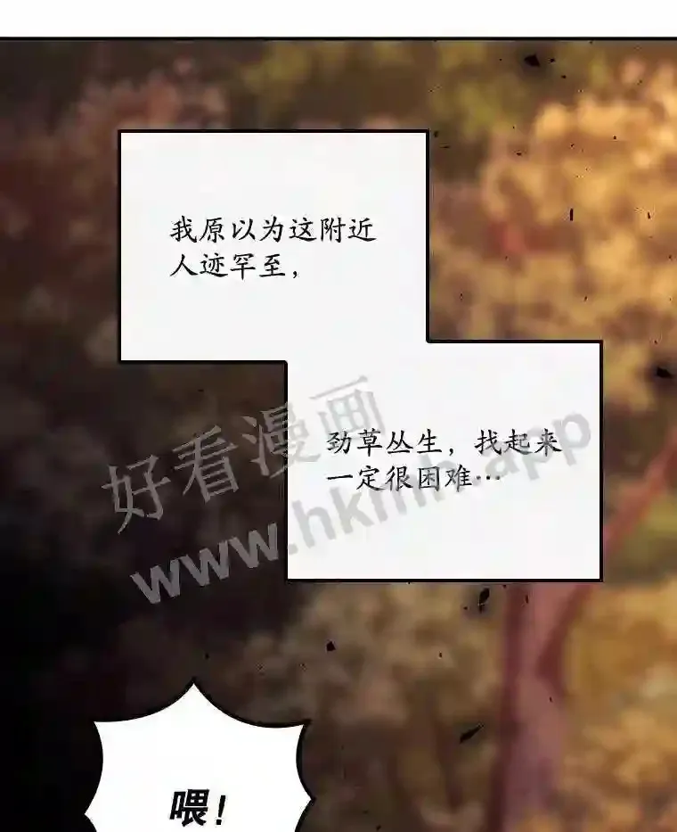 7.寻找项链 第60页