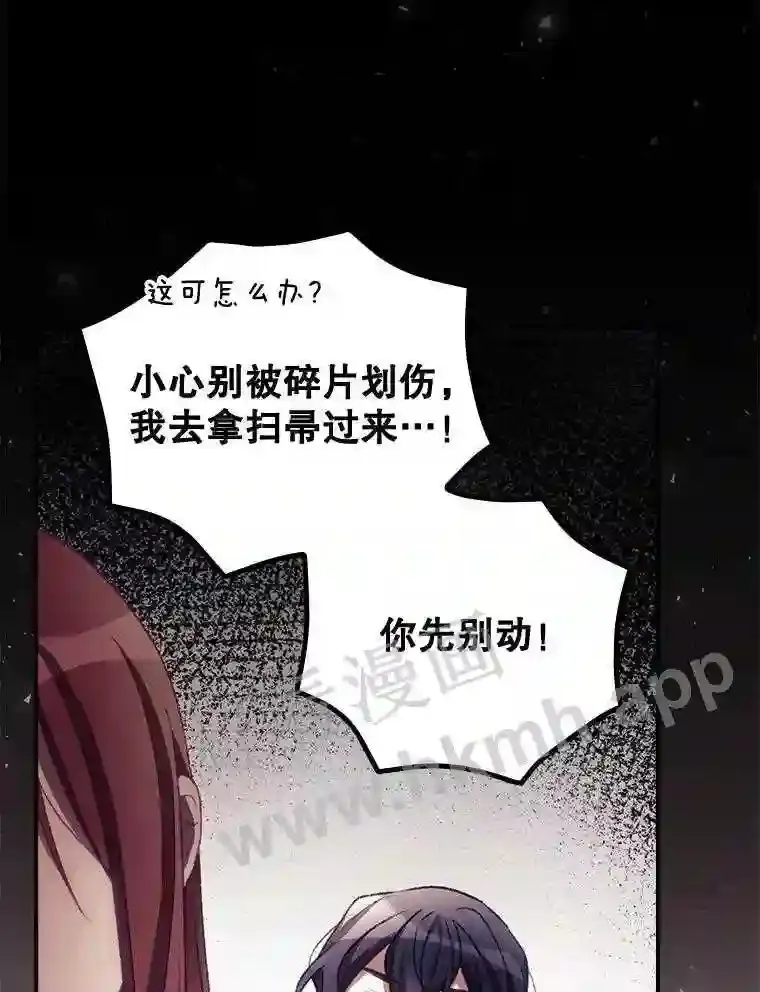 11.危机将至 第6页