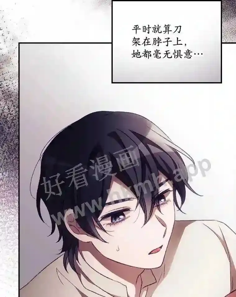 11.危机将至 第26页
