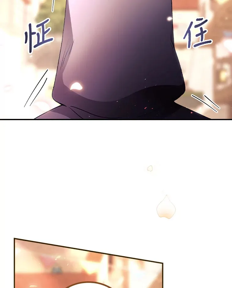 33.逛庆典 第39页