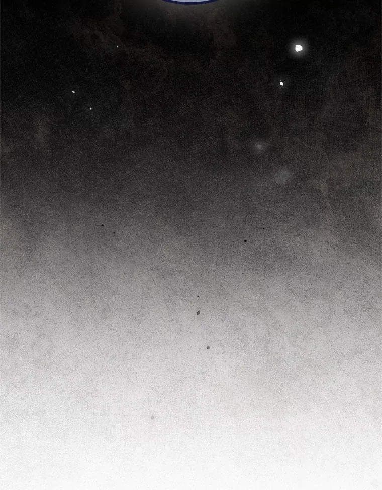 35.实施计划 第27页