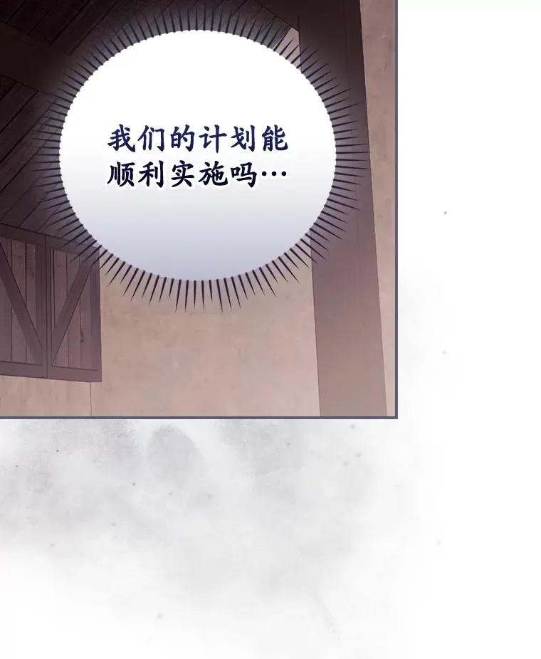 35.实施计划 第36页