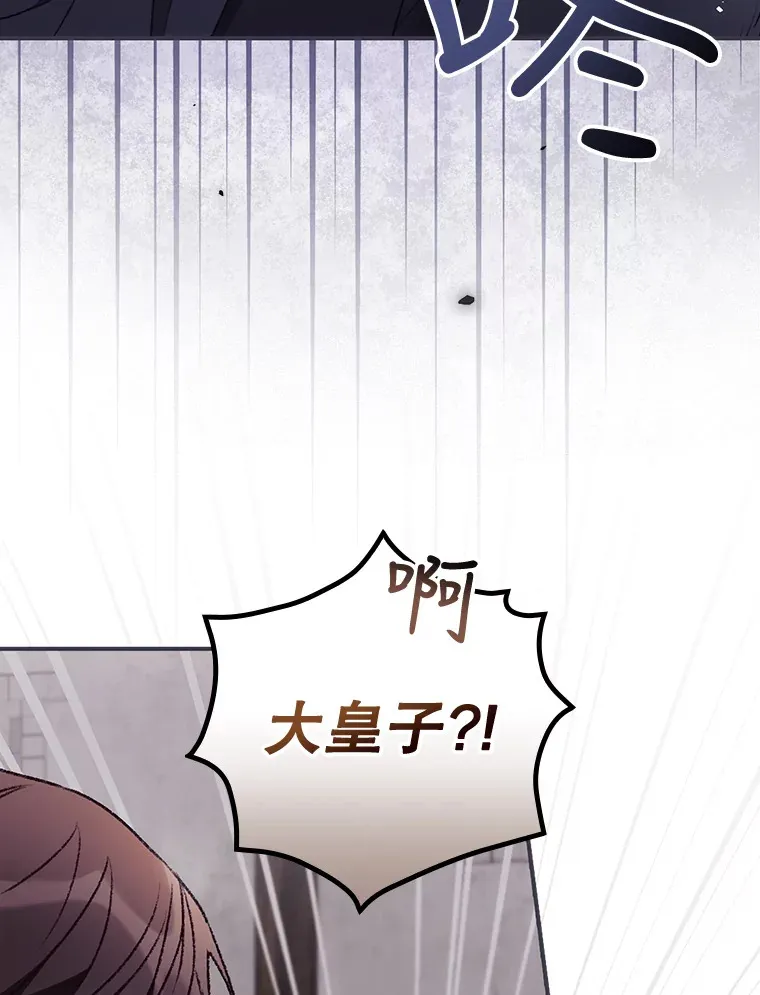 35.实施计划 第77页