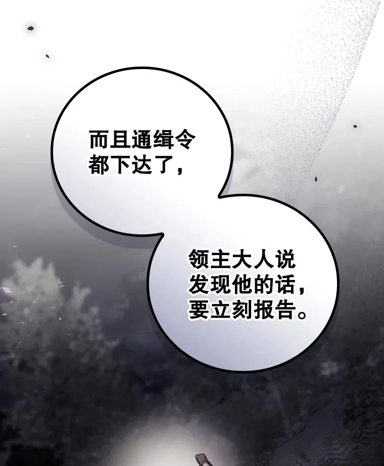 35.实施计划 第84页