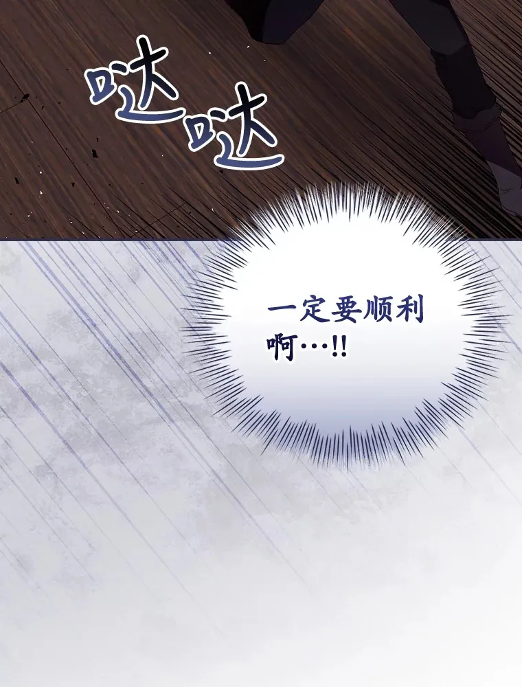 35.实施计划 第95页