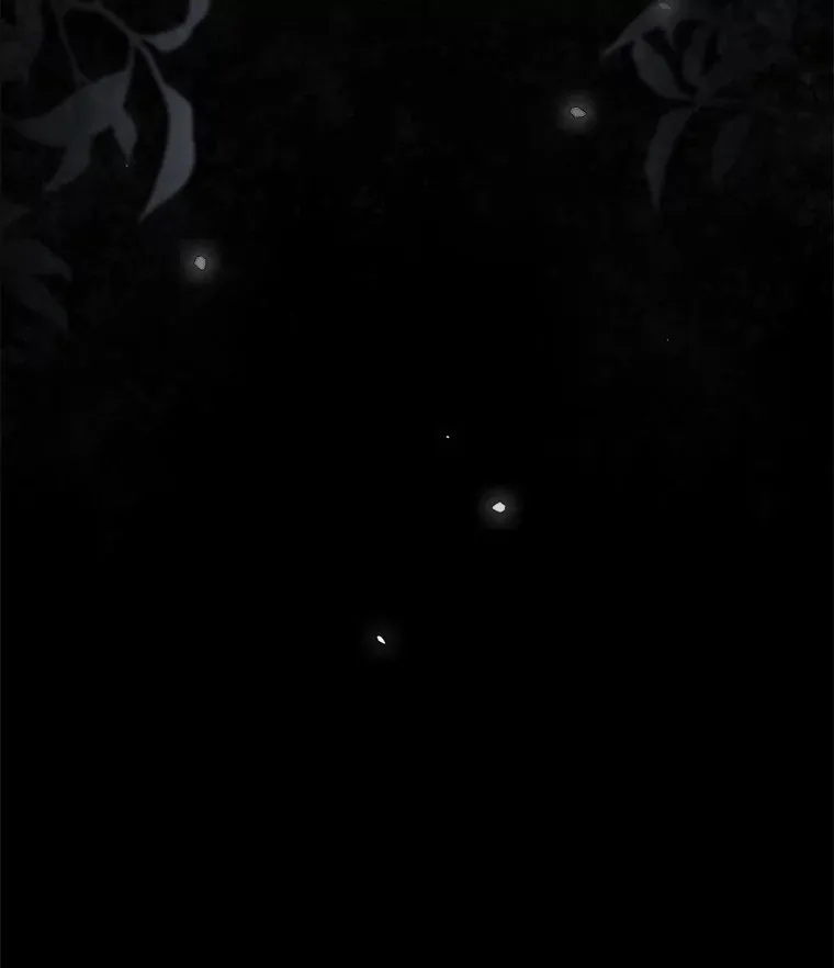 40.拦截 第21页