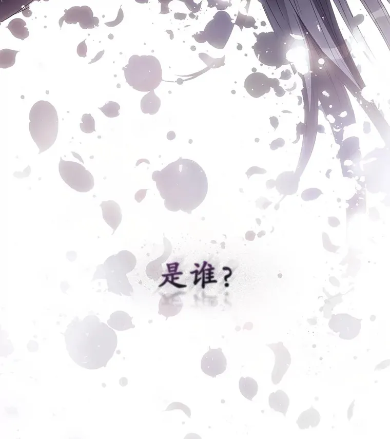 42.团长娜西尔 第13页