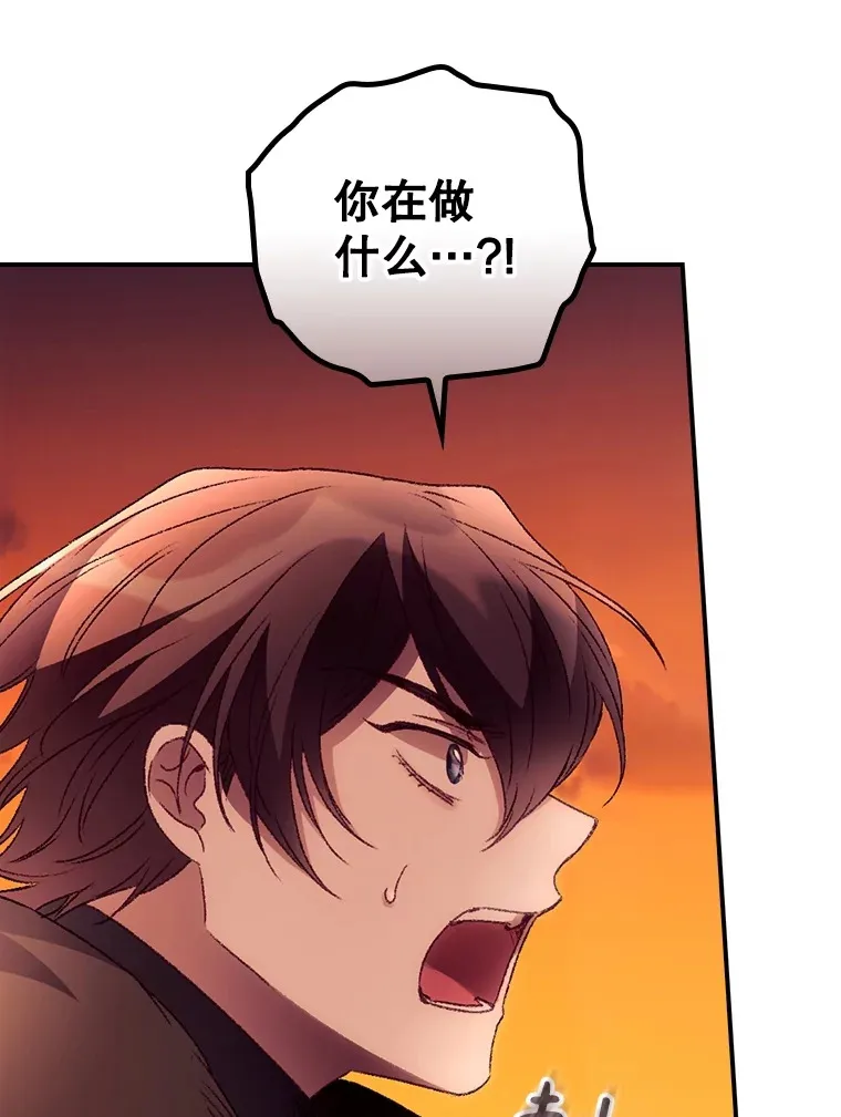 42.团长娜西尔 第24页