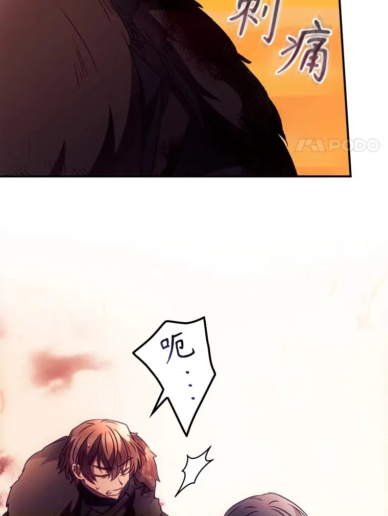 42.团长娜西尔 第25页