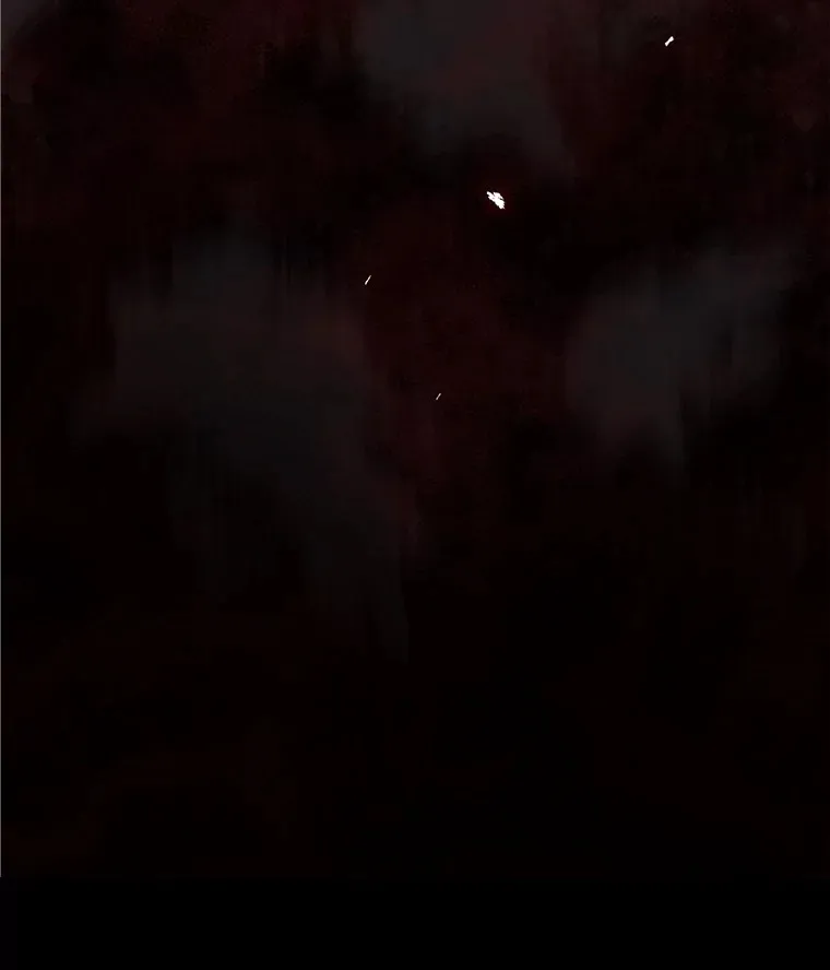 43.二皇子 第101页