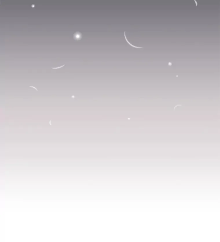 49.祈祷祭 第111页