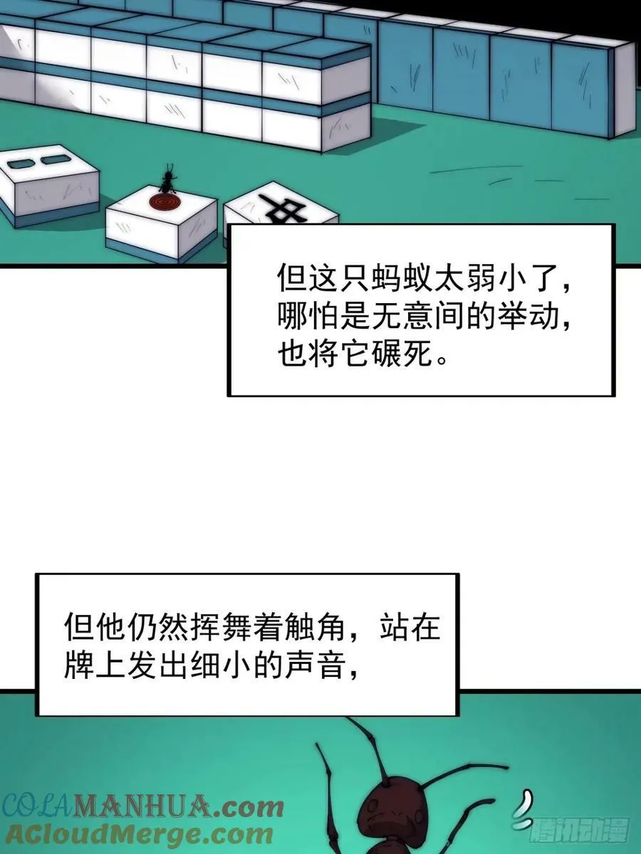 第五百六十五话：杂草的挣扎 第13页