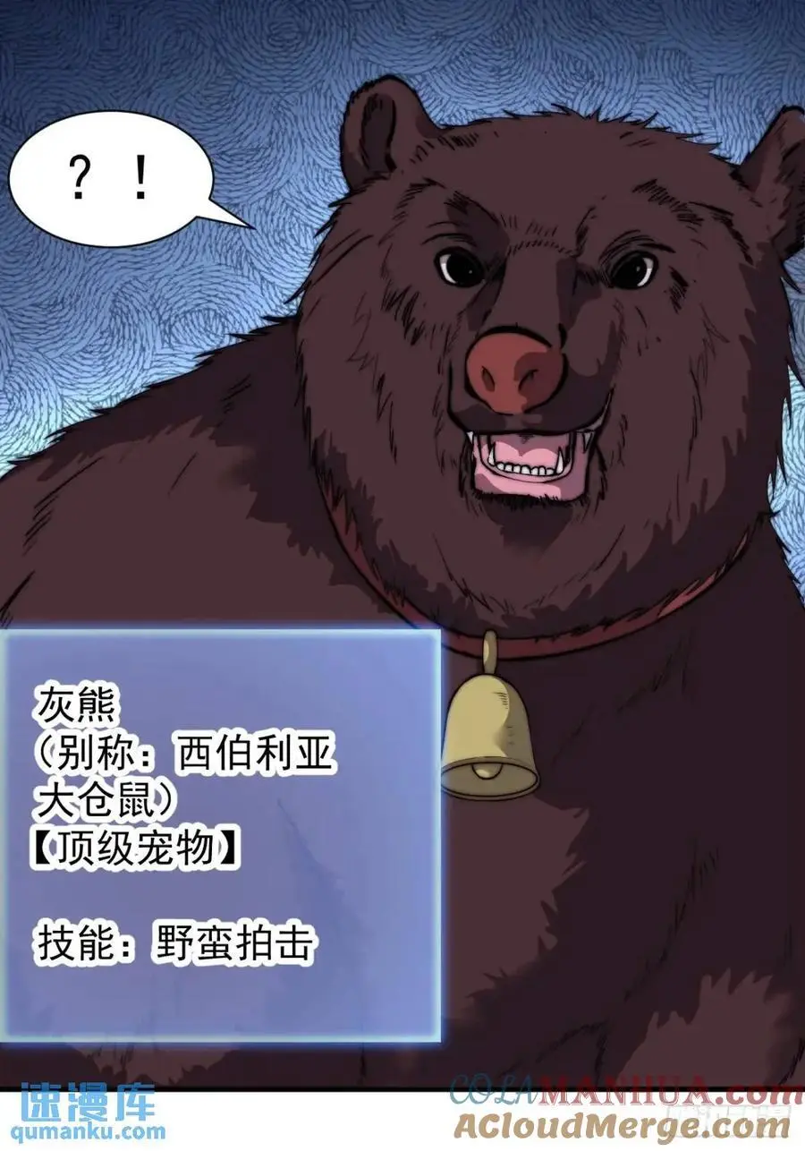 第七百话：西伯利亚大仓鼠 第43页