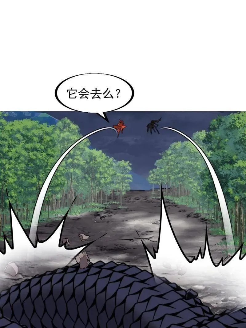 第916话 ：以身为饵 第24页