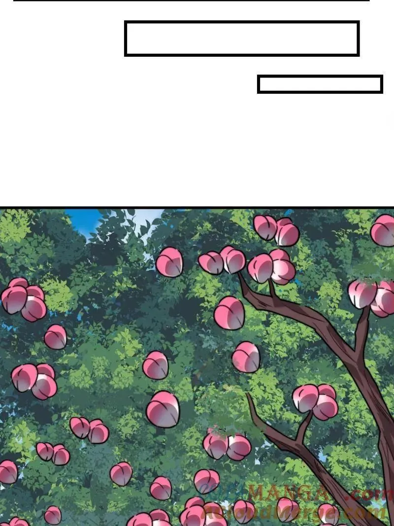 第1017话 ：神将的情报 第13页