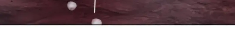 第1048话 ：天赐神像 第100页