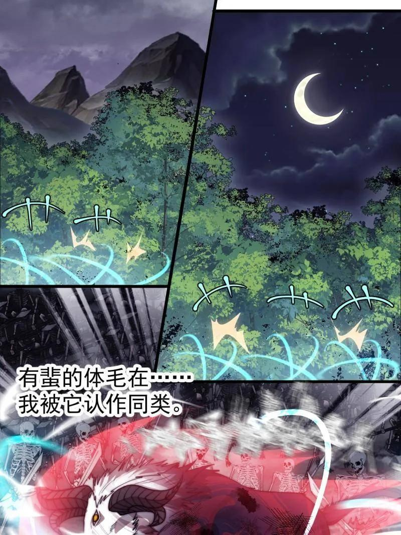 第1135话 ：听我调遣 第78页