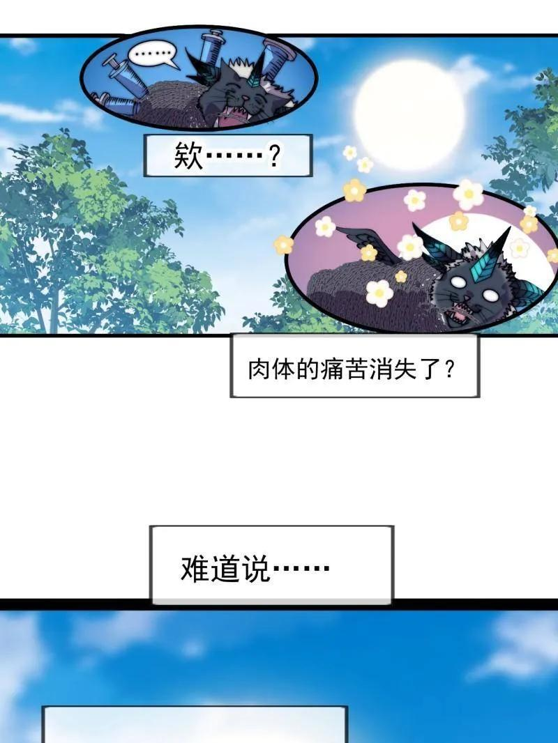 第1140话 ：黔驴技穷 第20页