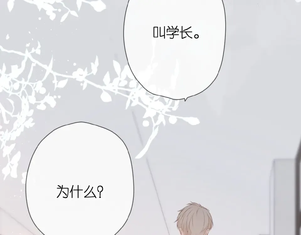 番外 女孩 第5页