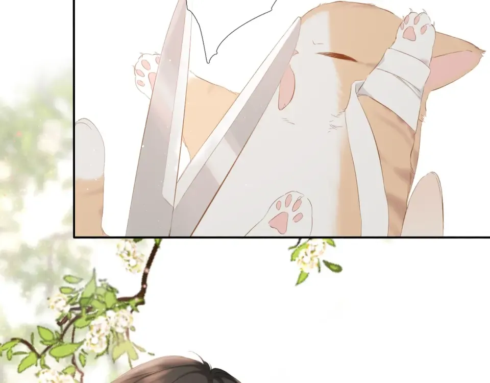 番外 回忆里的他 第28页