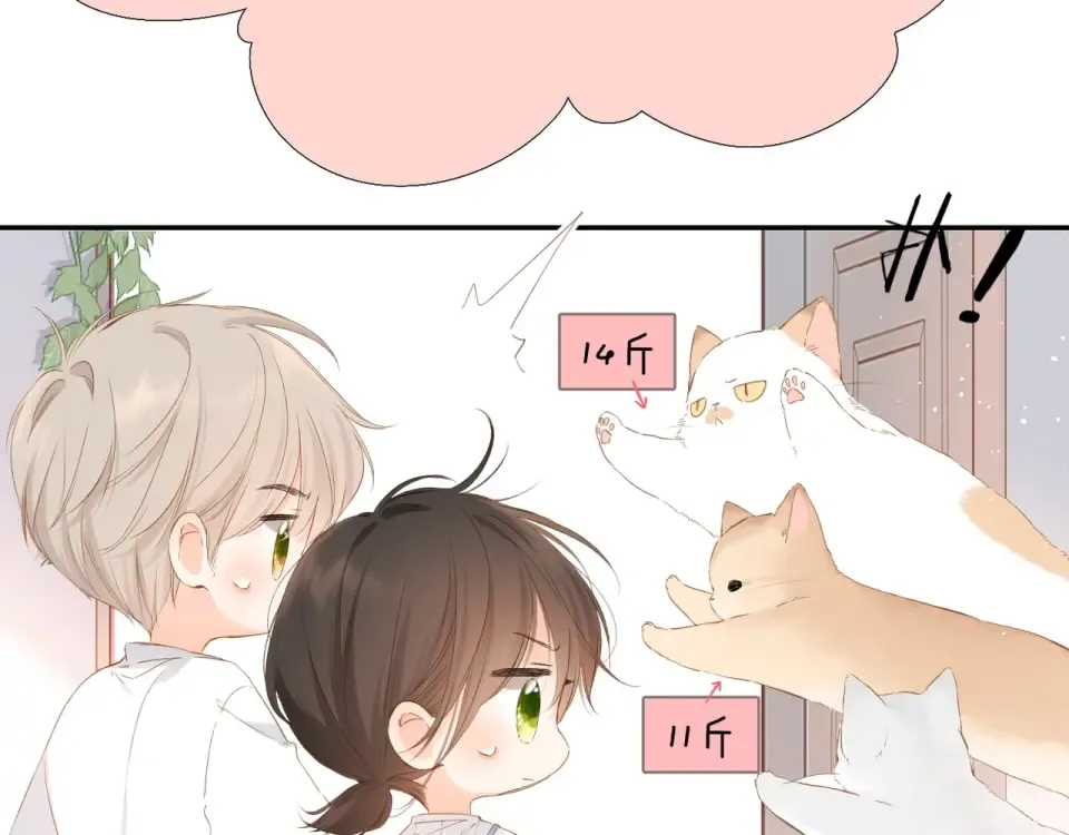 端午小番外 第13页