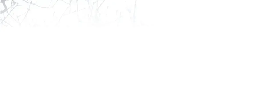 第44话 她的家人 第13页