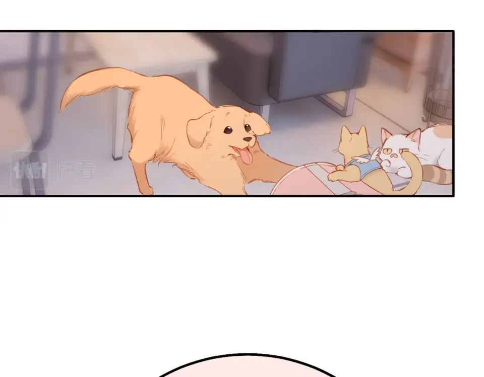 第141话 结果 第34页