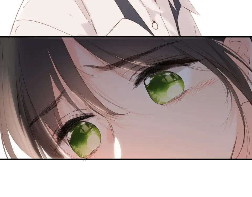 完结篇 安稳 第37页