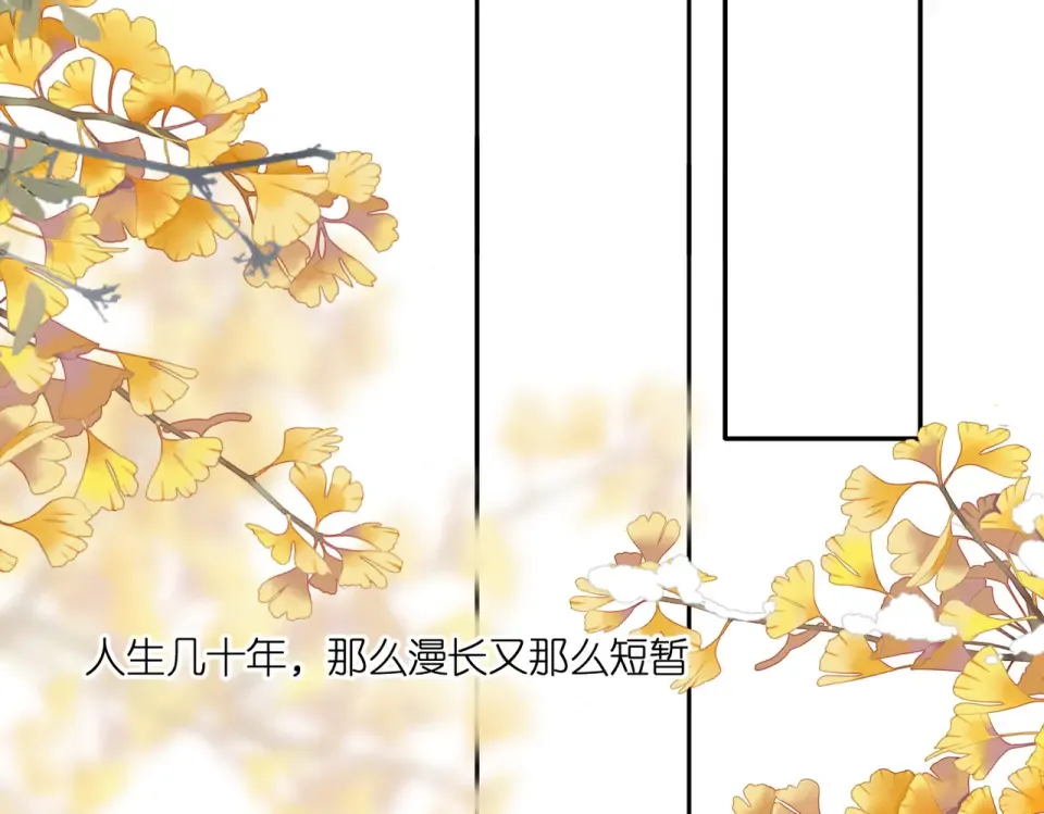 完结篇 安稳 第171页