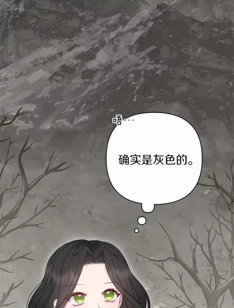 9.灰色平原 第2页