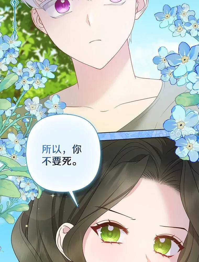 12.陷阱 第27页