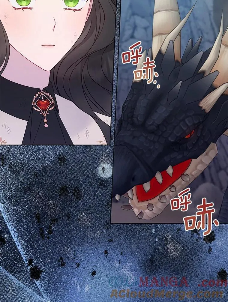 13.黑龙沉睡之处 第85页