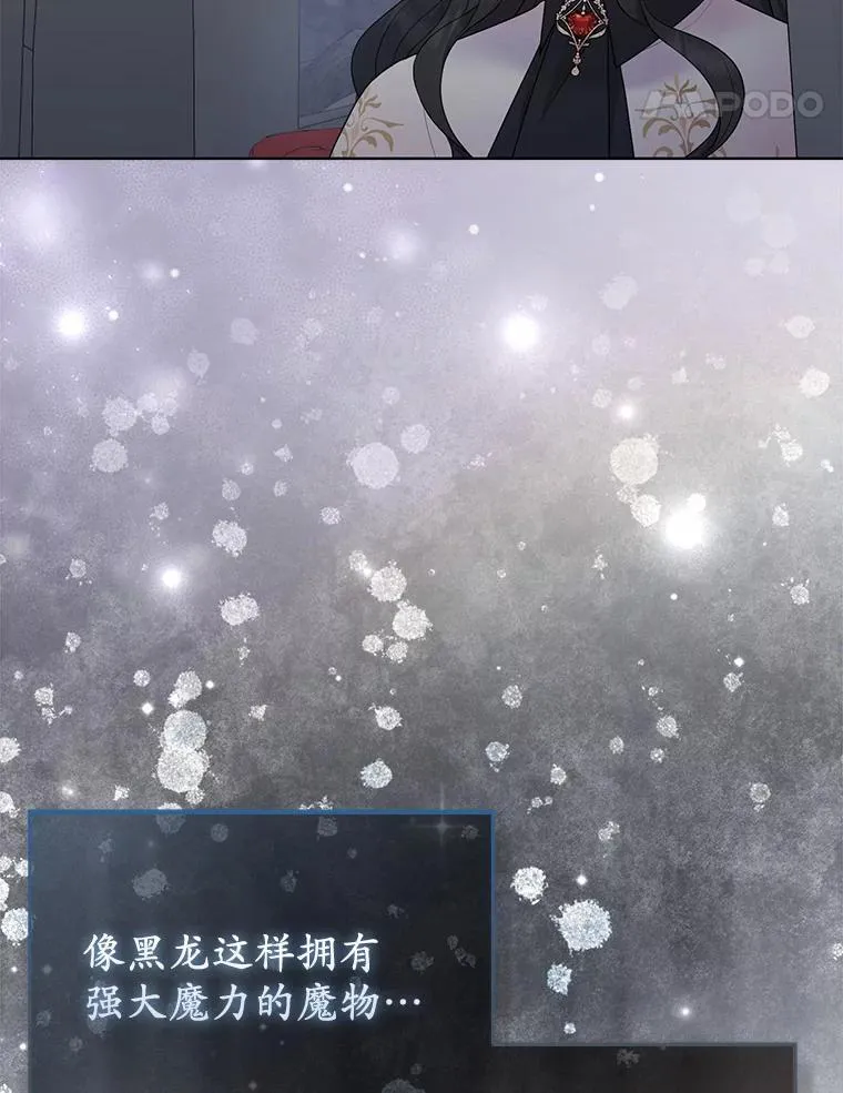 13.黑龙沉睡之处 第96页