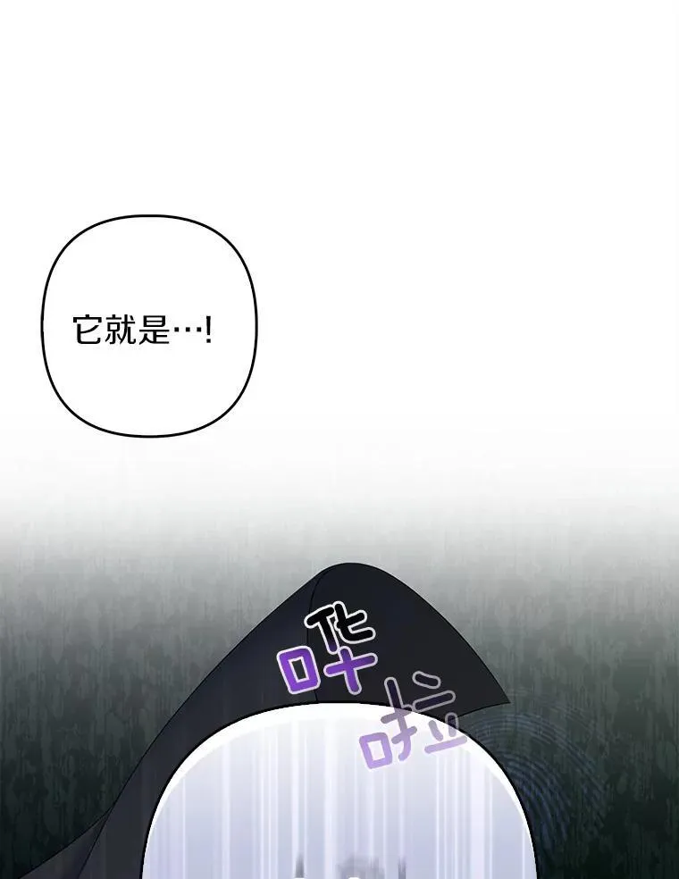 22.人鱼的眼泪 第66页