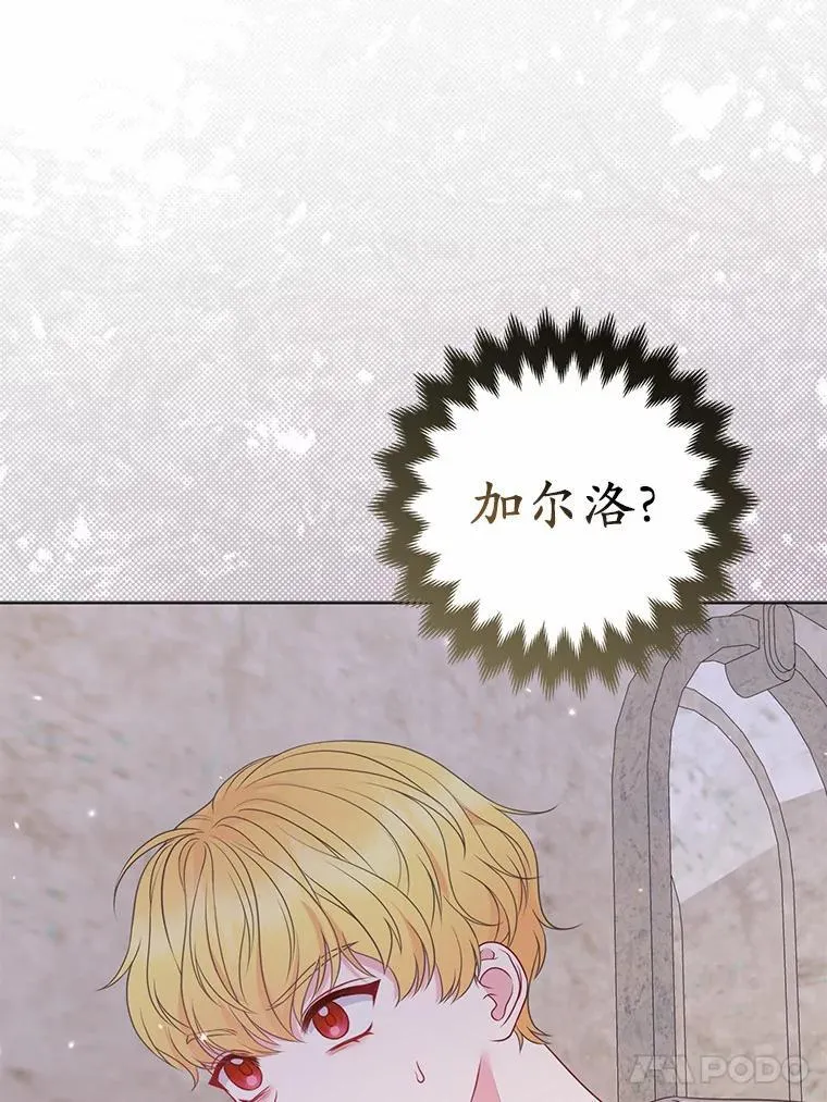 26.重返大海 第96页