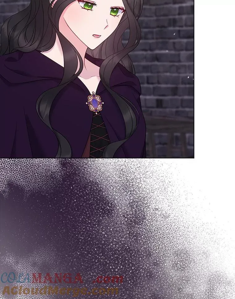 35.“魔女”的手段 第5页