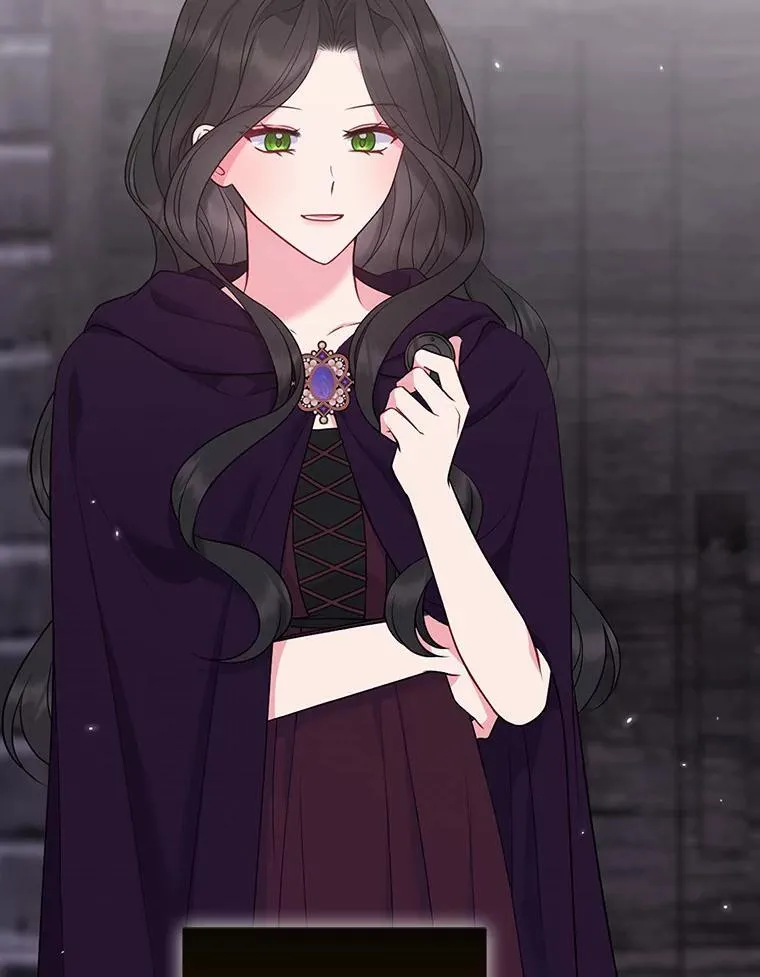35.“魔女”的手段 第26页