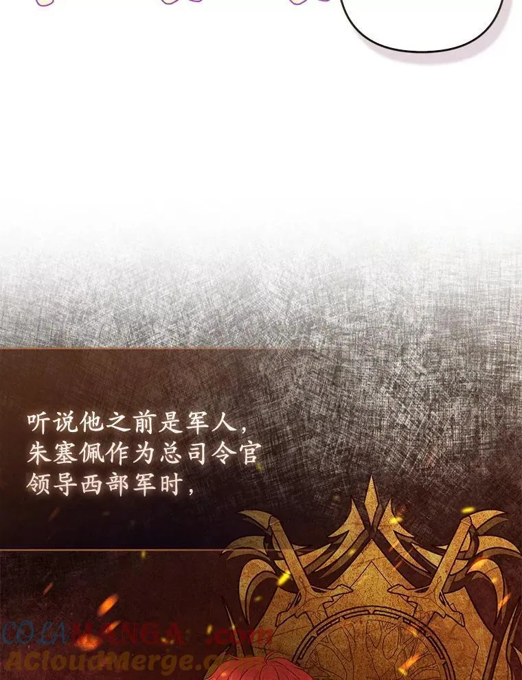 35.“魔女”的手段 第49页
