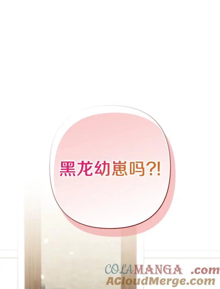 38.天才炼金术士 第81页