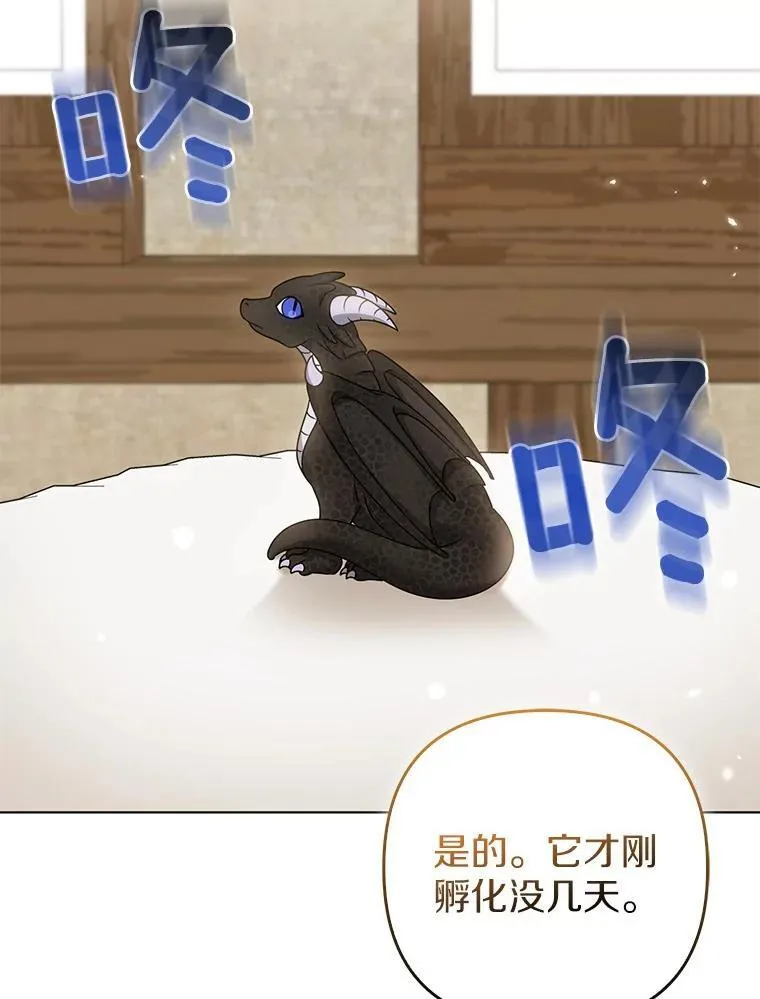 38.天才炼金术士 第82页