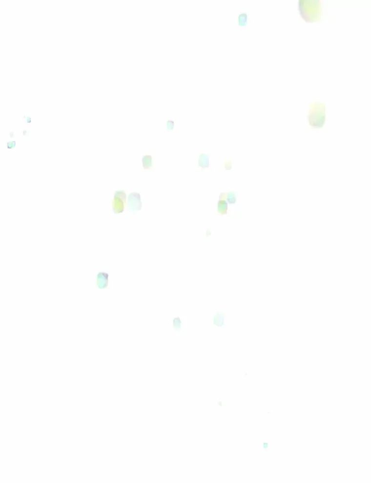 17.善意的谎言 第8页