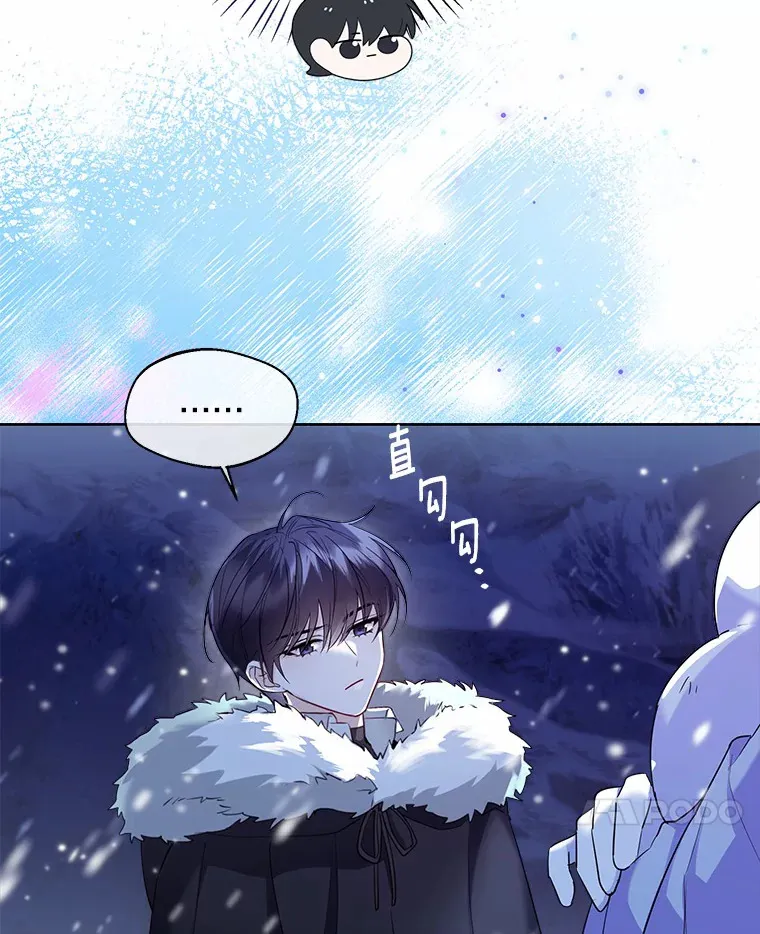 21.我的…雪球… 第14页