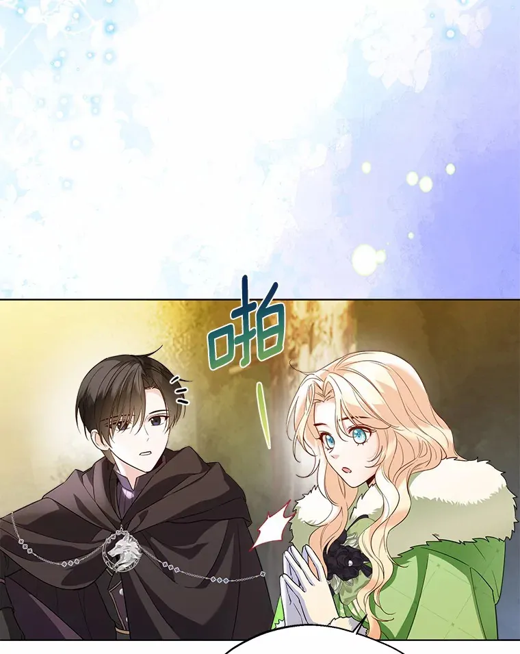 33.打理花园 第33页
