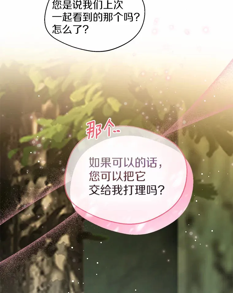 33.打理花园 第78页