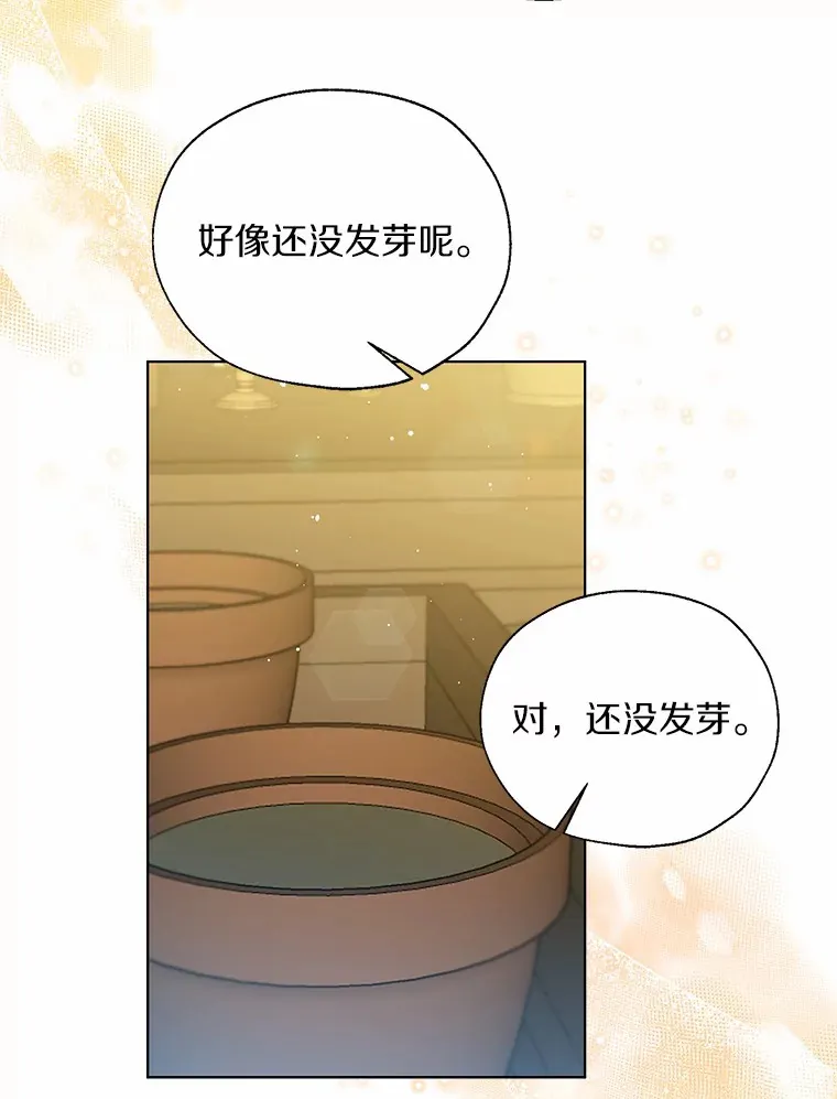 41.游园秀色 第28页