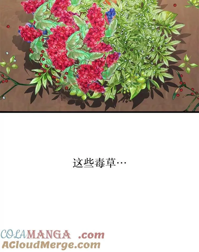 12.夺冠 第53页